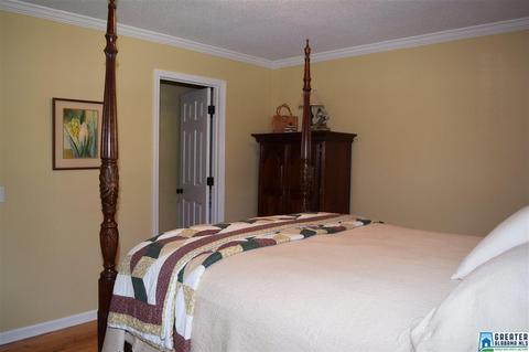 831 Spring Trl, Warrior, AL 35180 photo 43