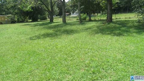 115 Taylor St, Parrish, AL 35580 photo 18