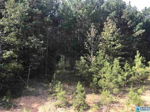 5805 Pine Mountain Rd, Remlap, AL 35133 photo 47