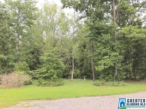 5805 Pine Mountain Rd, Remlap, AL 35133 photo 32