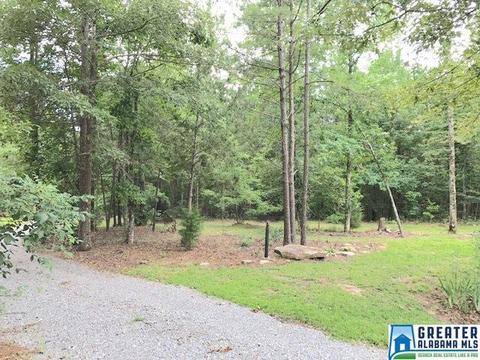 5805 Pine Mountain Rd, Remlap, AL 35133 photo 33