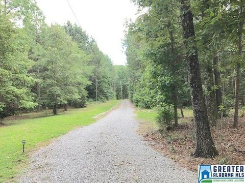 5805 Pine Mountain Rd, Remlap, AL 35133 photo 34