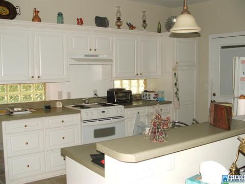 54 John Cir, Springville, AL 35146 photo 16