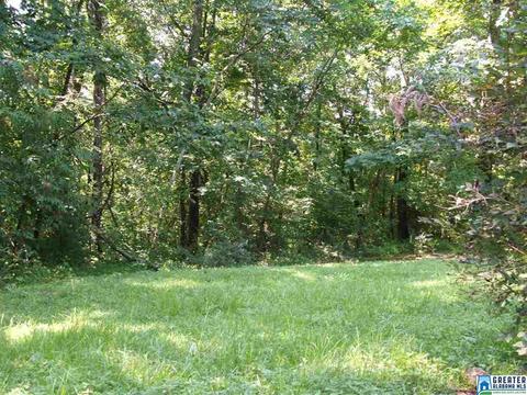 54 John Cir, Springville, AL 35146 photo 6