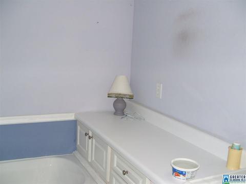54 John Cir, Springville, AL 35146 photo 28