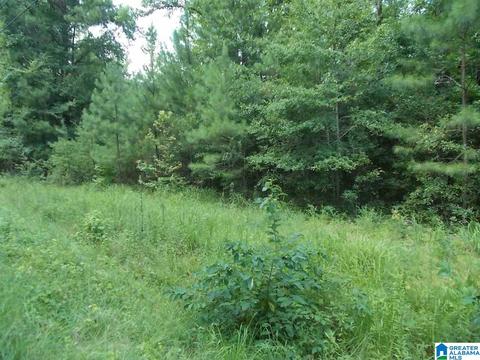Valley Trail, Warrior, AL 35180