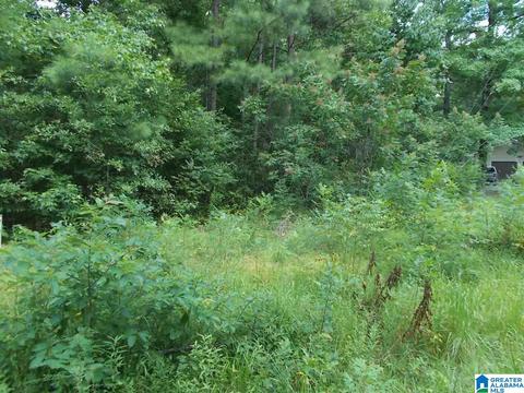 Valley Trail, Warrior, AL 35180 photo 2