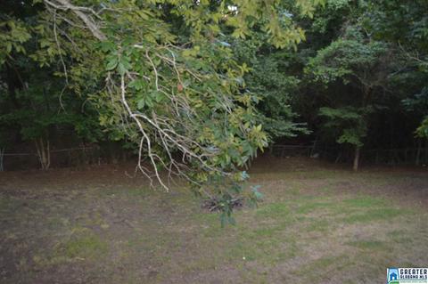 5261 Memory Ln, Mount Olive, AL 35117 photo 8