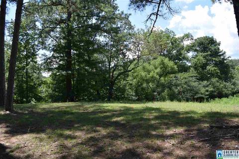 40 Armstrong Loop Rd, Hayden, AL 35079 photo 22