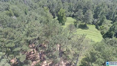 40 Armstrong Loop Rd, Hayden, AL 35079 photo 2
