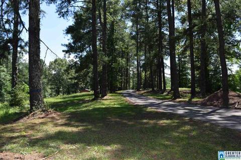 40 Armstrong Loop Rd, Hayden, AL 35079 photo 20