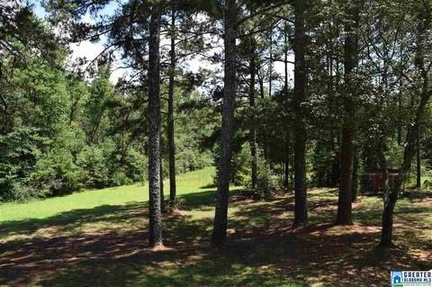 40 Armstrong Loop Rd, Hayden, AL 35079 photo 7