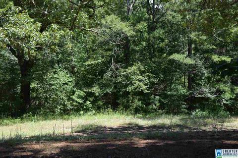 40 Armstrong Loop Rd, Hayden, AL 35079 photo 18