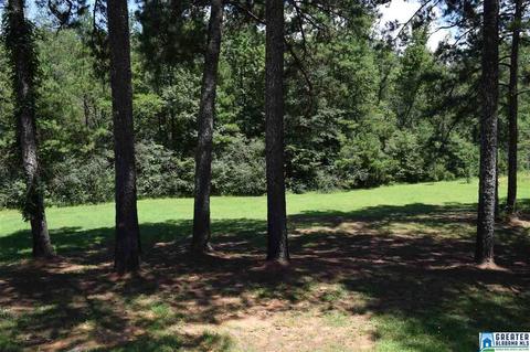 40 Armstrong Loop Rd, Hayden, AL 35079 photo 6