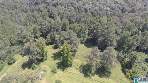 40 Armstrong Loop Rd, Hayden, AL 35079 photo 3