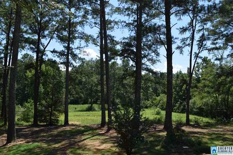 40 Armstrong Loop Rd, Hayden, AL 35079 photo 9
