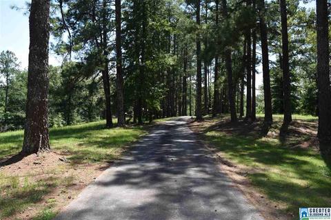 40 Armstrong Loop Rd, Hayden, AL 35079 photo 19