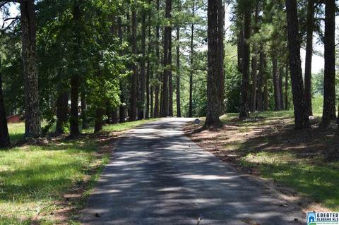 40 Armstrong Loop Rd, Hayden, AL 35079 photo 21
