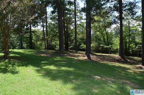 40 Armstrong Loop Rd, Hayden, AL 35079 photo 11