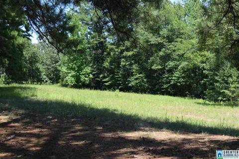 40 Armstrong Loop Rd, Hayden, AL 35079 photo 17