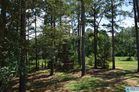 40 Armstrong Loop Rd, Hayden, AL 35079 photo 8