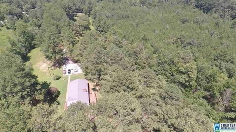 40 Armstrong Loop Rd, Hayden, AL 35079 photo 4