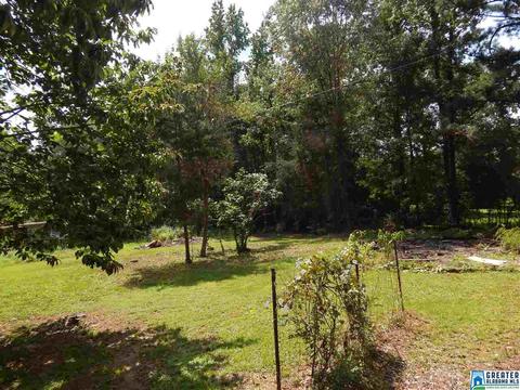 6856 Moore Dr, Mc Calla, AL 35111 photo 40