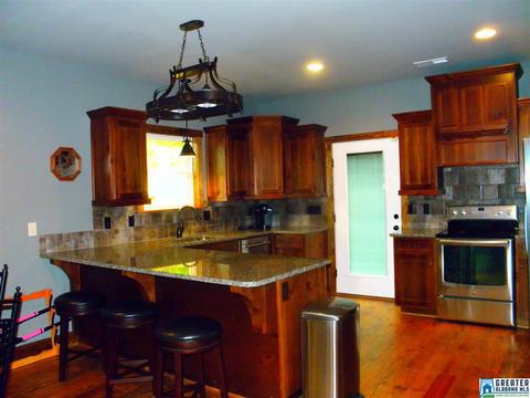 267 County Road 471, Clanton, AL 35046 photo 44