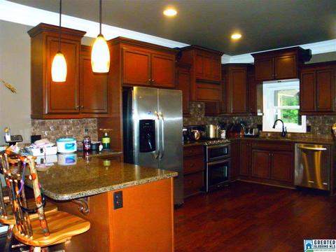 267 County Road 471, Clanton, AL 35046 photo 38