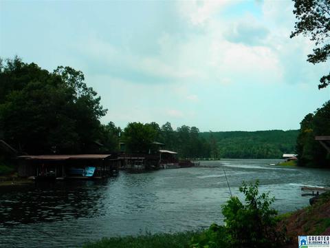 267 County Road 471, Clanton, AL 35046 photo 12