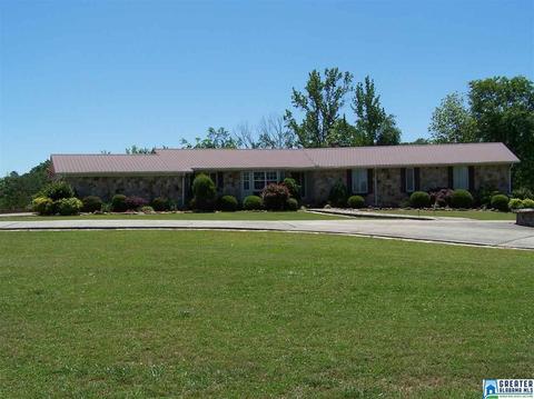 175 Solomon Rd, Oneonta, AL 35121 photo 49
