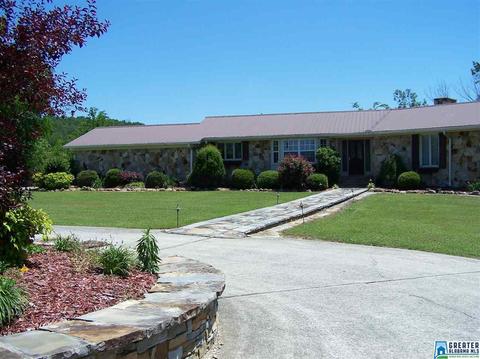175 Solomon Rd, Oneonta, AL 35121 photo 1