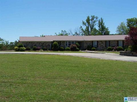 175 Solomon Rd, Oneonta, AL 35121 photo 2