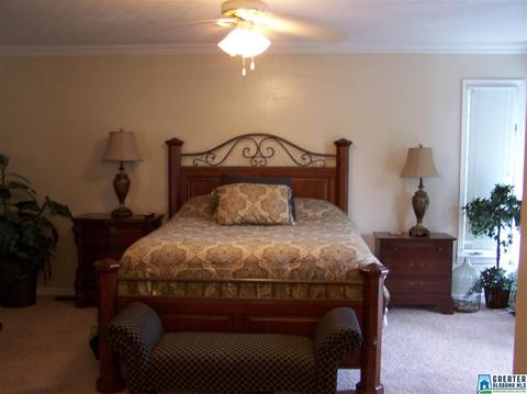 175 Solomon Rd, Oneonta, AL 35121 photo 15