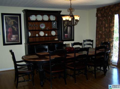 175 Solomon Rd, Oneonta, AL 35121 photo 8