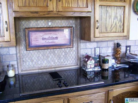 175 Solomon Rd, Oneonta, AL 35121 photo 22