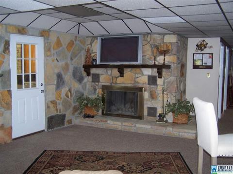 175 Solomon Rd, Oneonta, AL 35121 photo 35