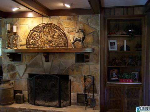175 Solomon Rd, Oneonta, AL 35121 photo 9