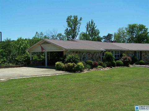 175 Solomon Rd, Oneonta, AL 35121 photo 47
