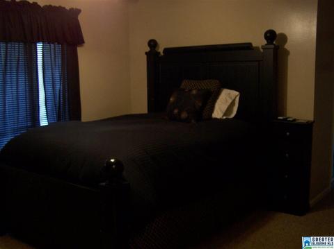 175 Solomon Rd, Oneonta, AL 35121 photo 25