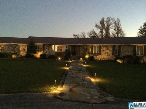175 Solomon Rd, Oneonta, AL 35121 photo 6