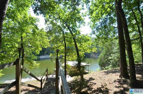 863 County Road 481, Clanton, AL 35046 photo 21