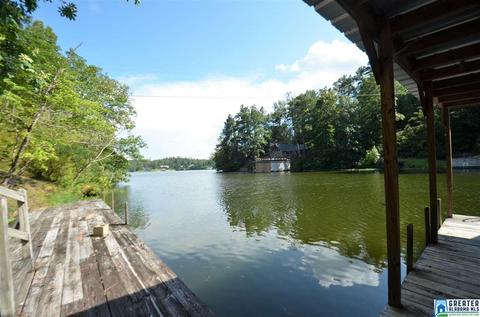 863 County Road 481, Clanton, AL 35046 photo 25
