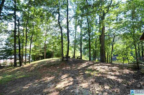 863 County Road 481, Clanton, AL 35046 photo 16