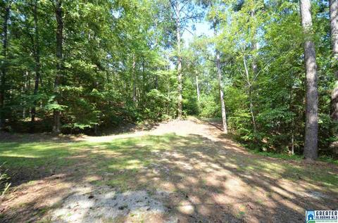 863 County Road 481, Clanton, AL 35046 photo 13