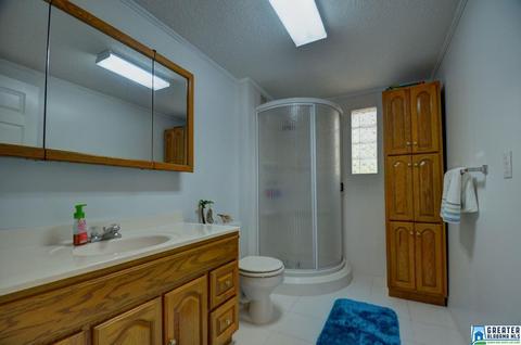 863 County Road 481, Clanton, AL 35046 photo 10