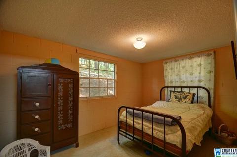 863 County Road 481, Clanton, AL 35046 photo 11