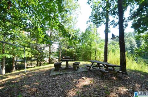 863 County Road 481, Clanton, AL 35046 photo 19