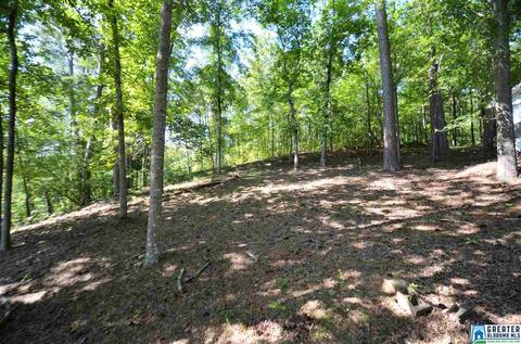 863 County Road 481, Clanton, AL 35046 photo 20