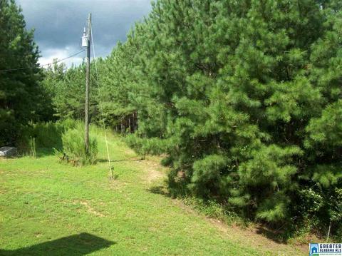 2177 Co Rd 61, Fruithurst, AL 36262 photo 7